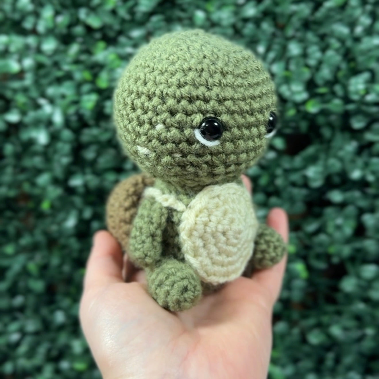 Tiny Traveling Turtle