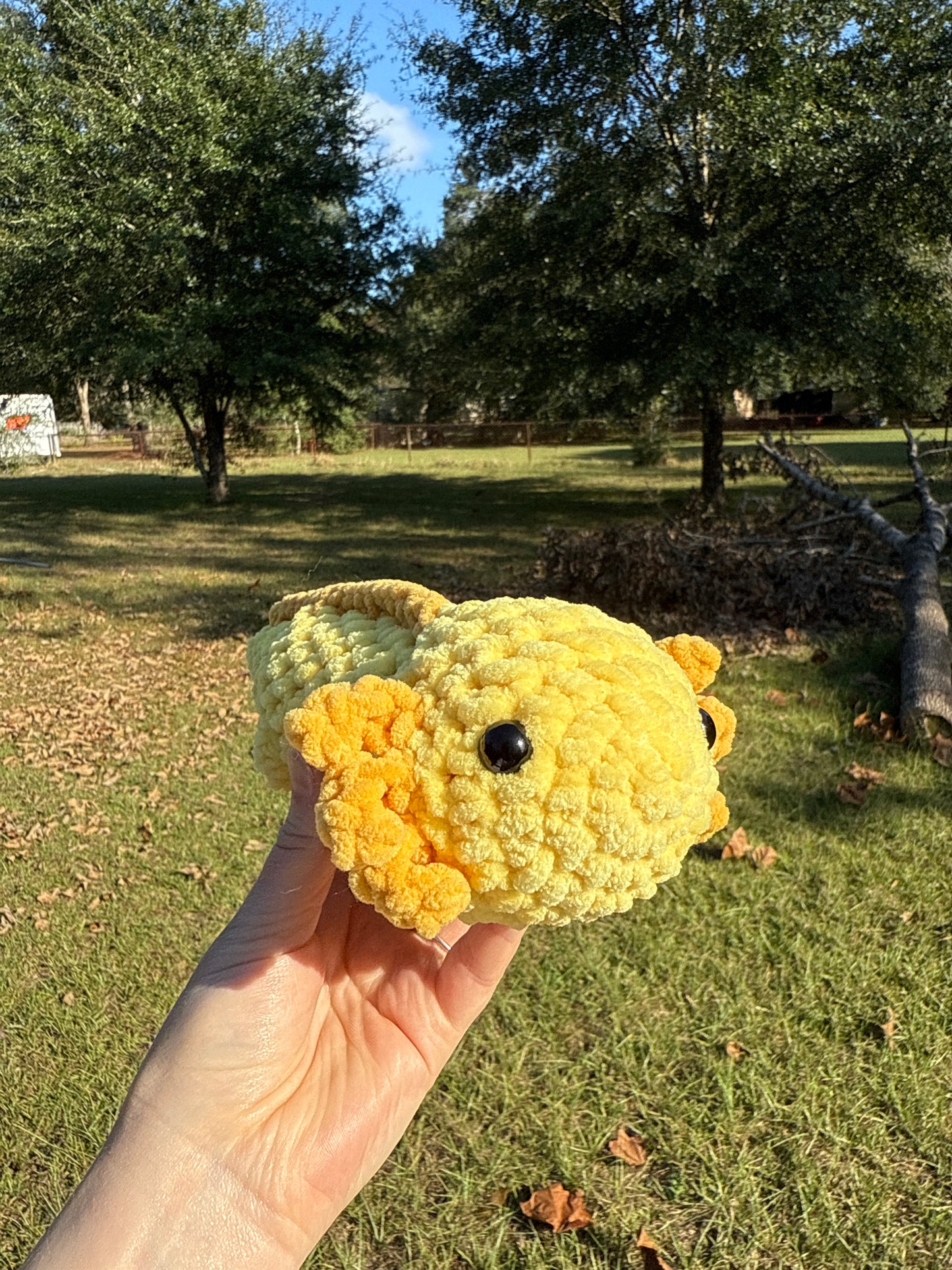Axolotl