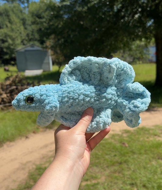 Betta Fish
