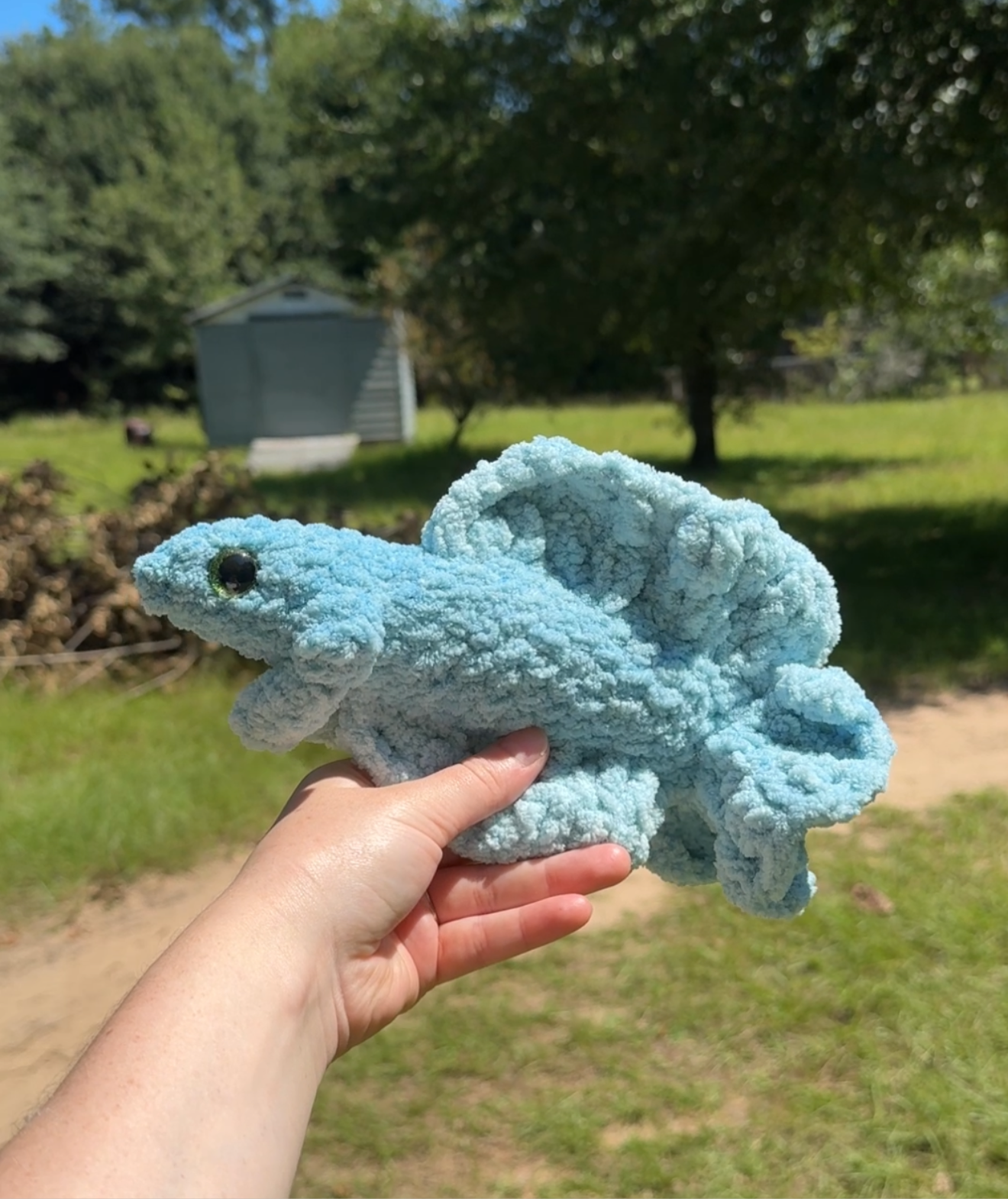 Betta Fish
