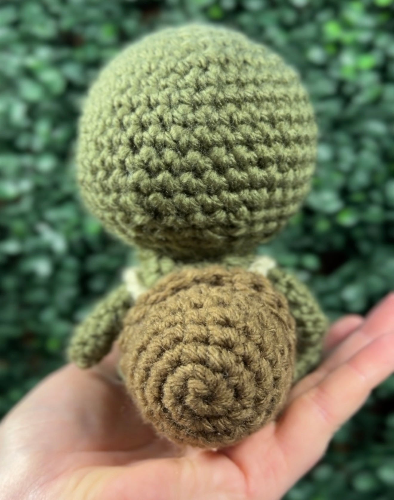 Tiny Traveling Turtle