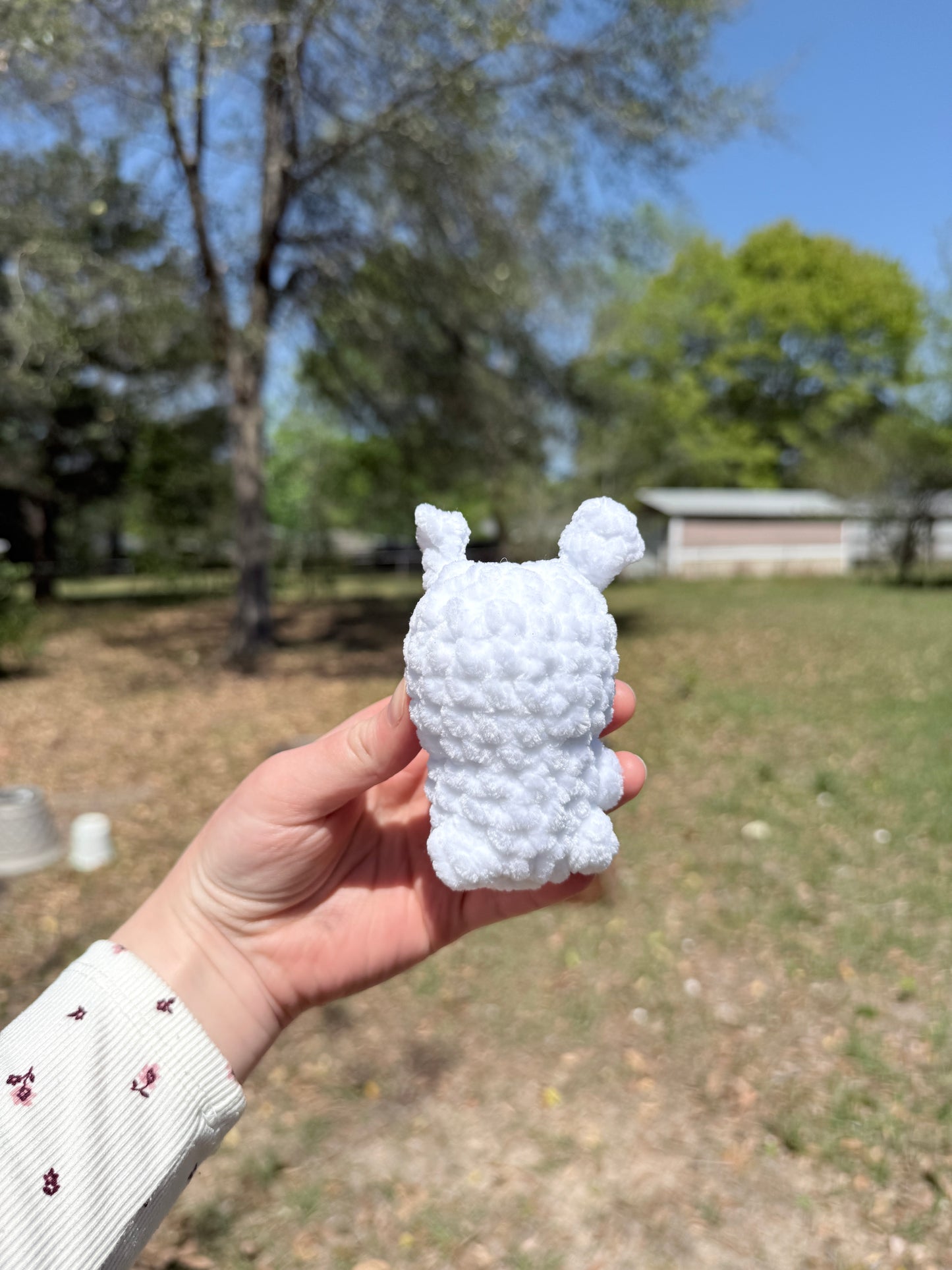 Mini Bunny