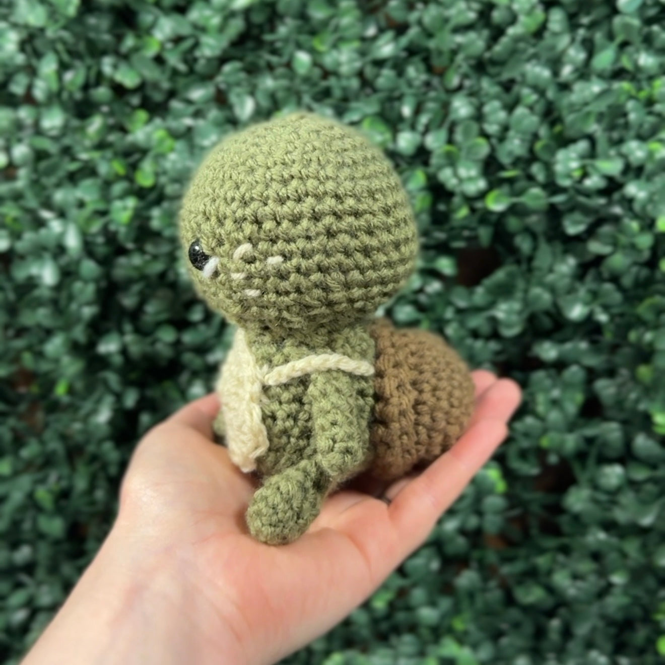 Tiny Traveling Turtle