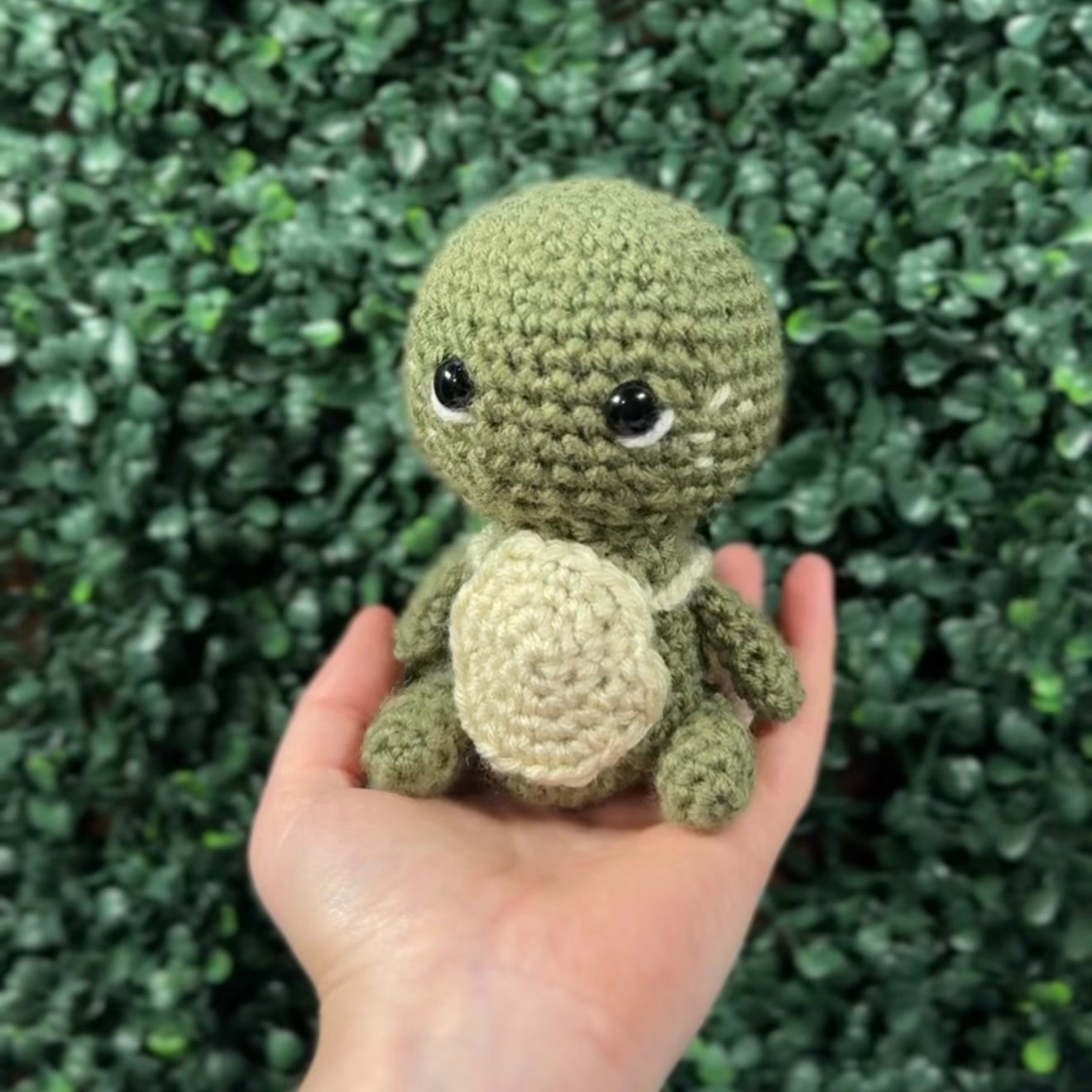 Tiny Traveling Turtle