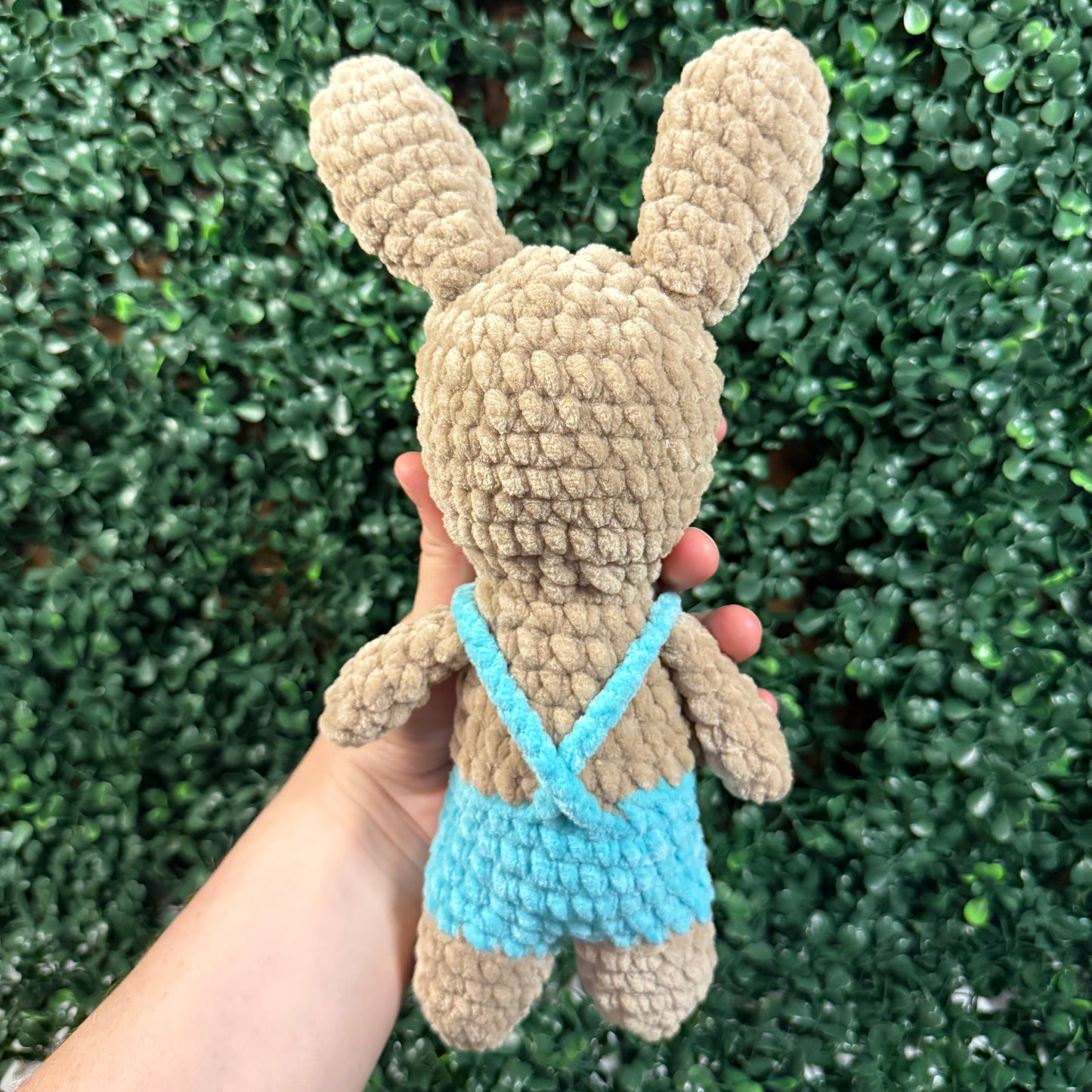 Bunny in Overalls