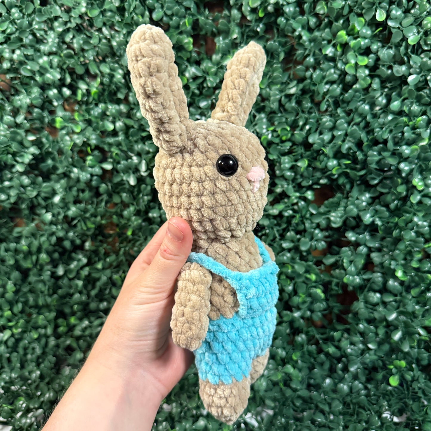 Bunny in Overalls