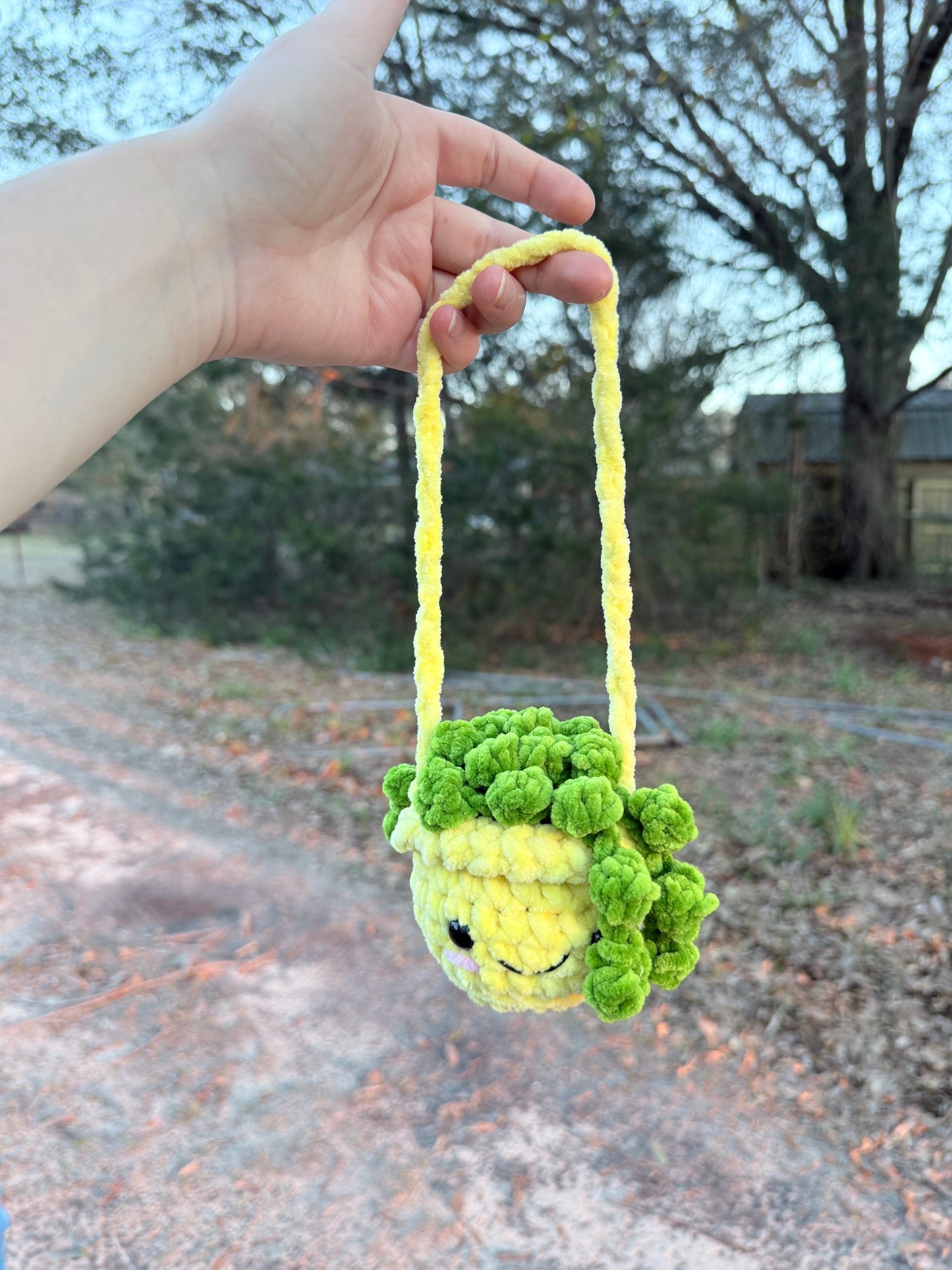 Hanging Plant