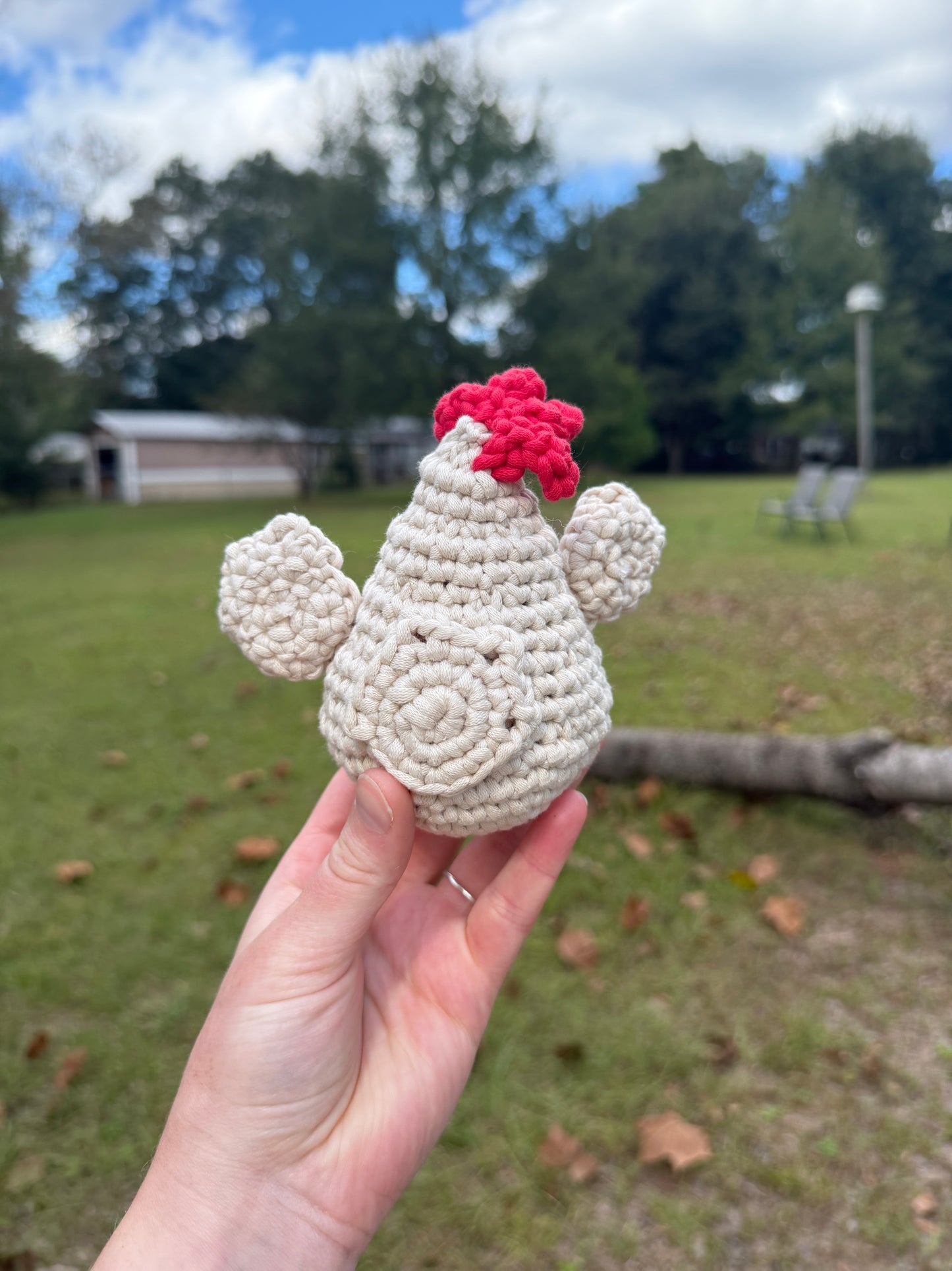 Tiny Chicken Friend