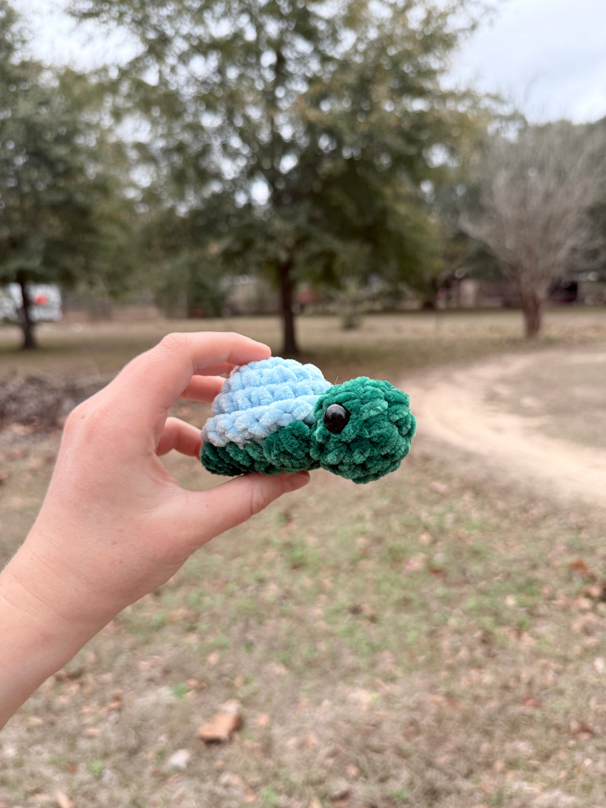 Mini Turtle