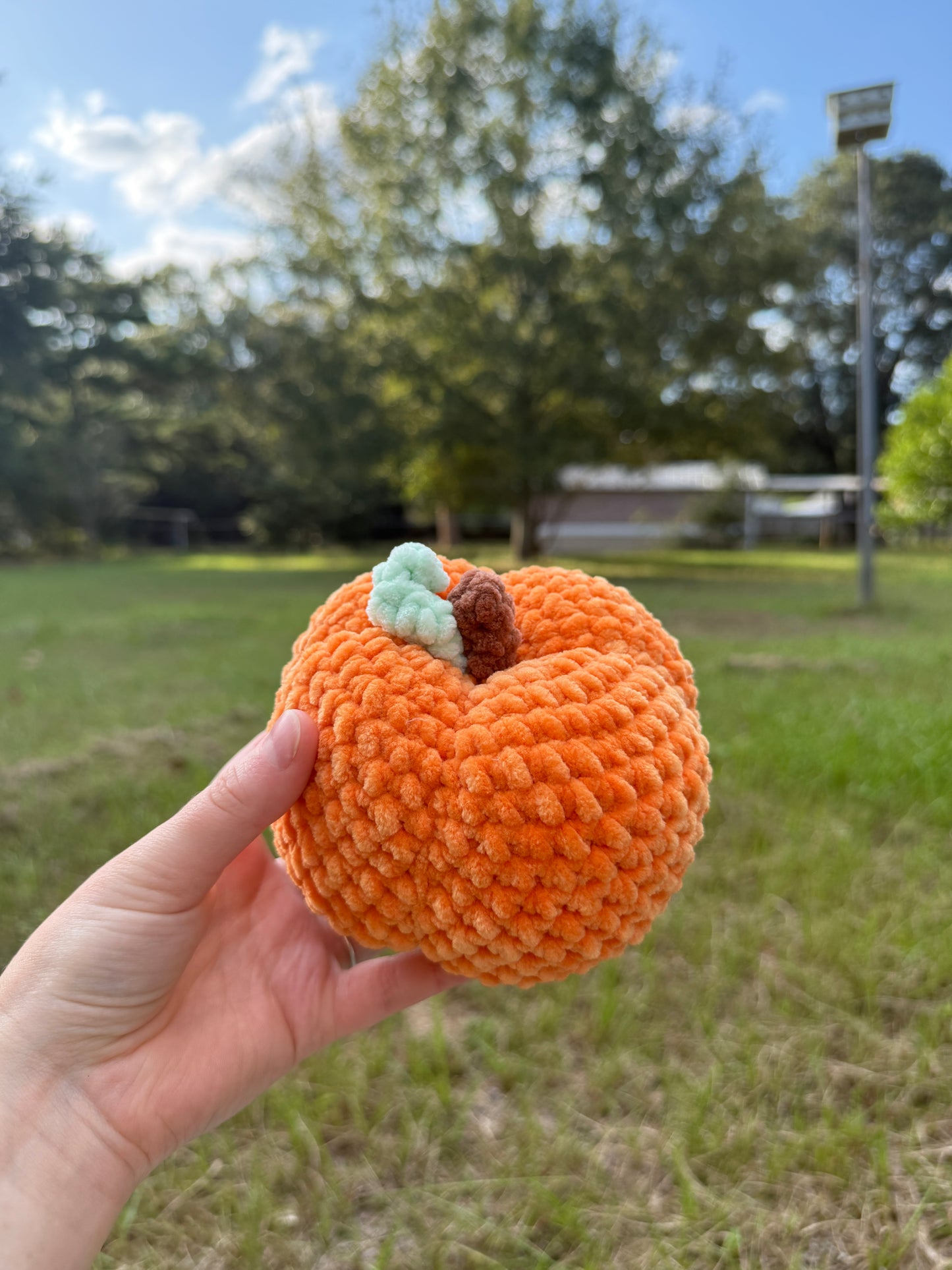 Plush Pumpkin