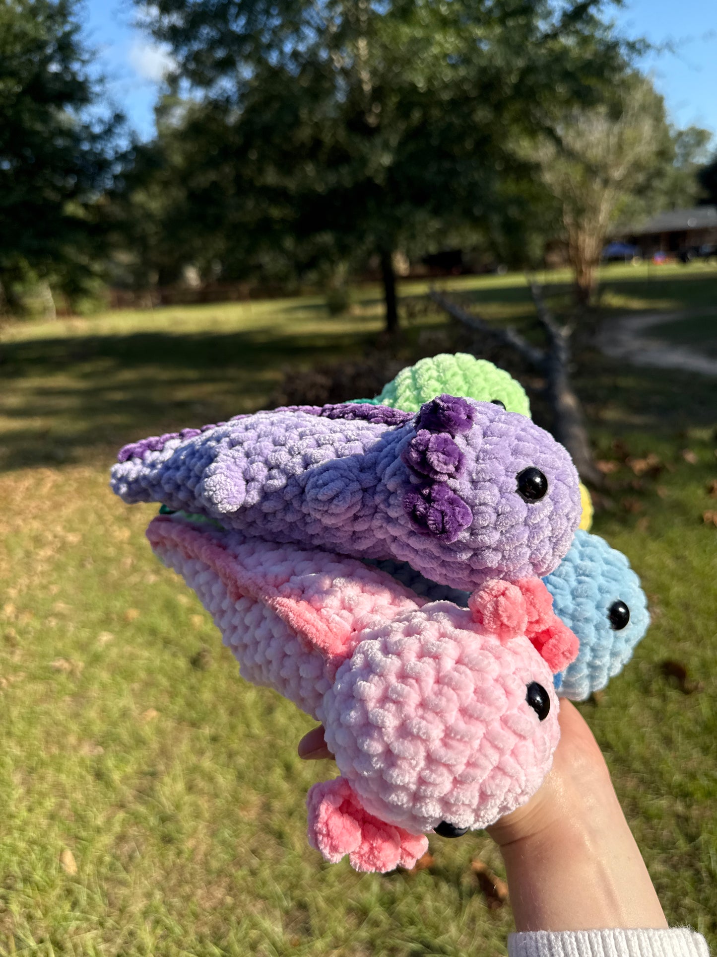 Axolotl