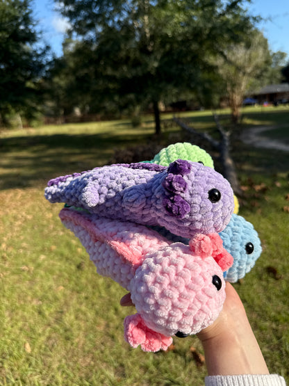 Axolotl