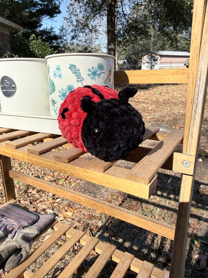 Ladybug