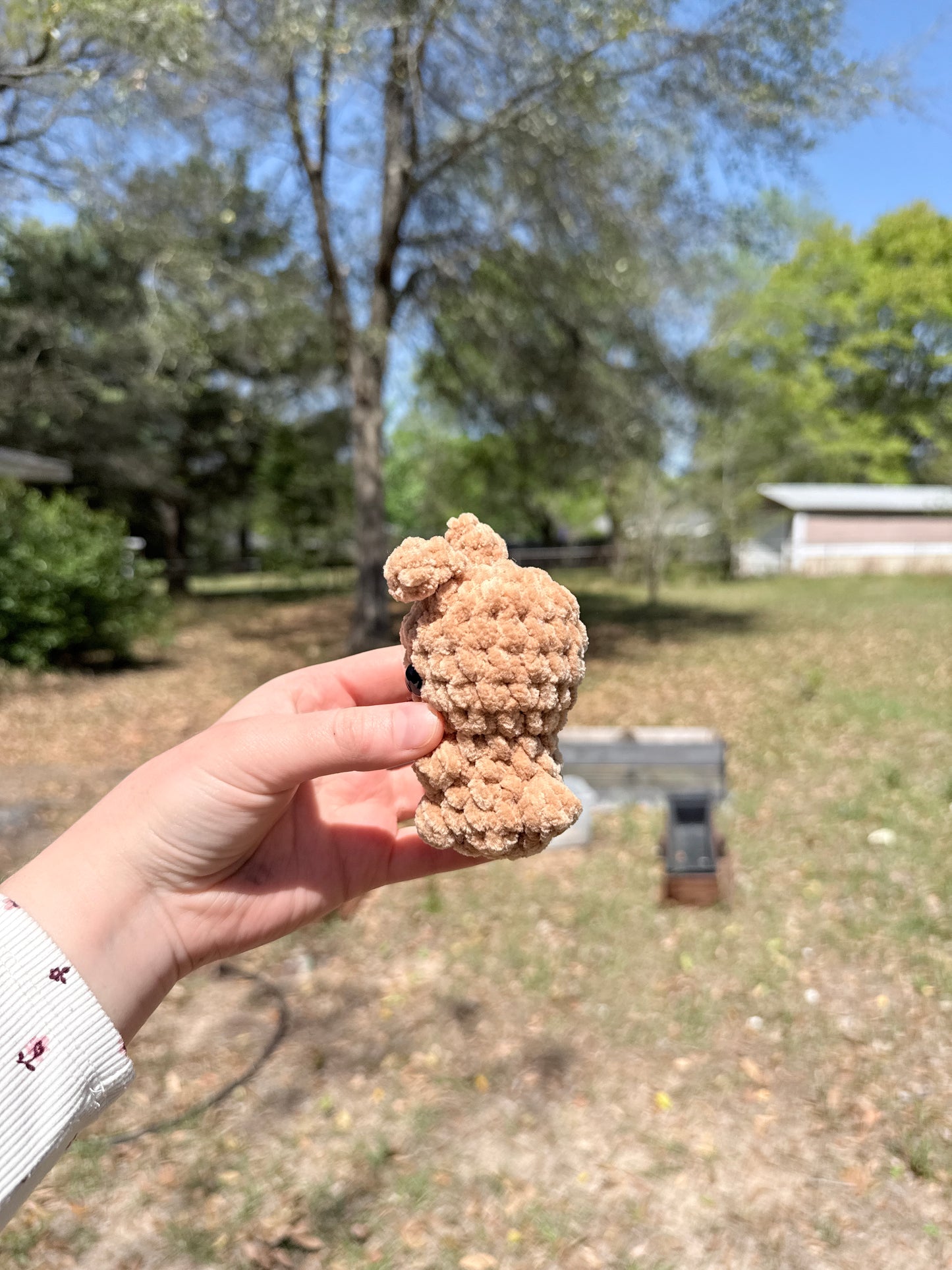 Mini Bunny