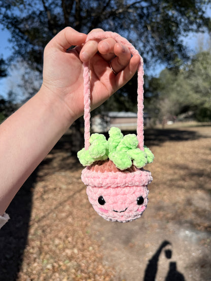 Hanging Plant