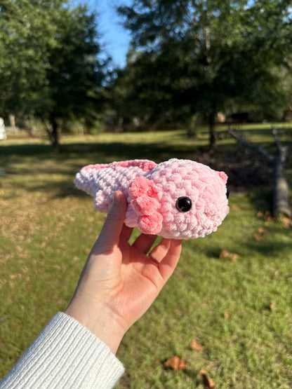 Axolotl
