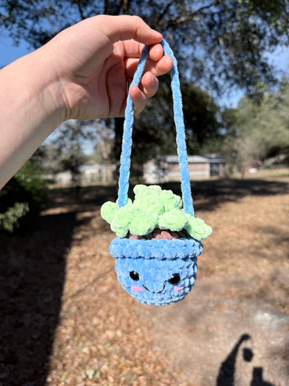 Hanging Plant