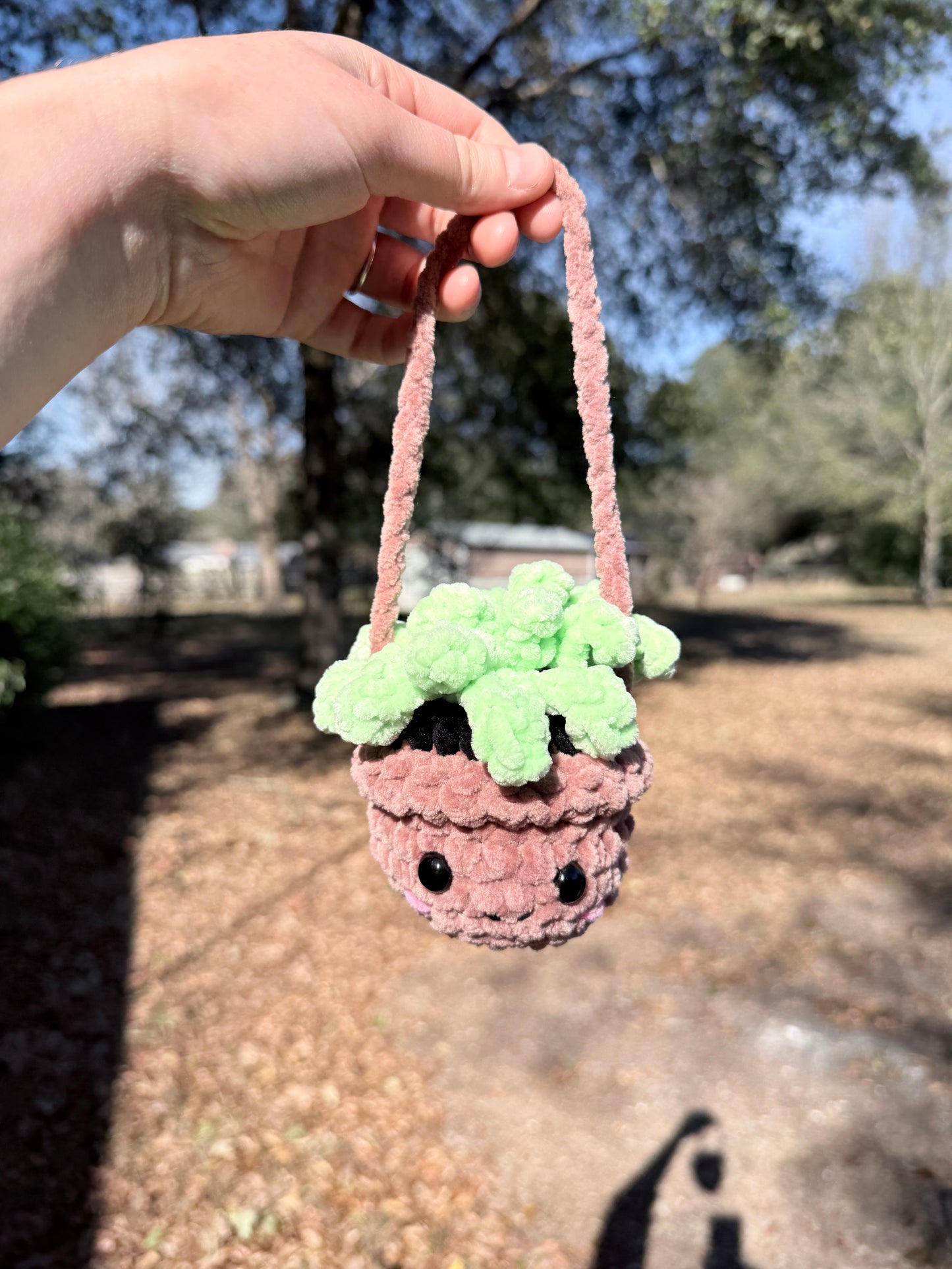 Hanging Plant