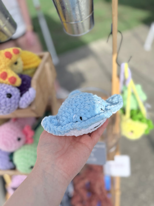 Stingray