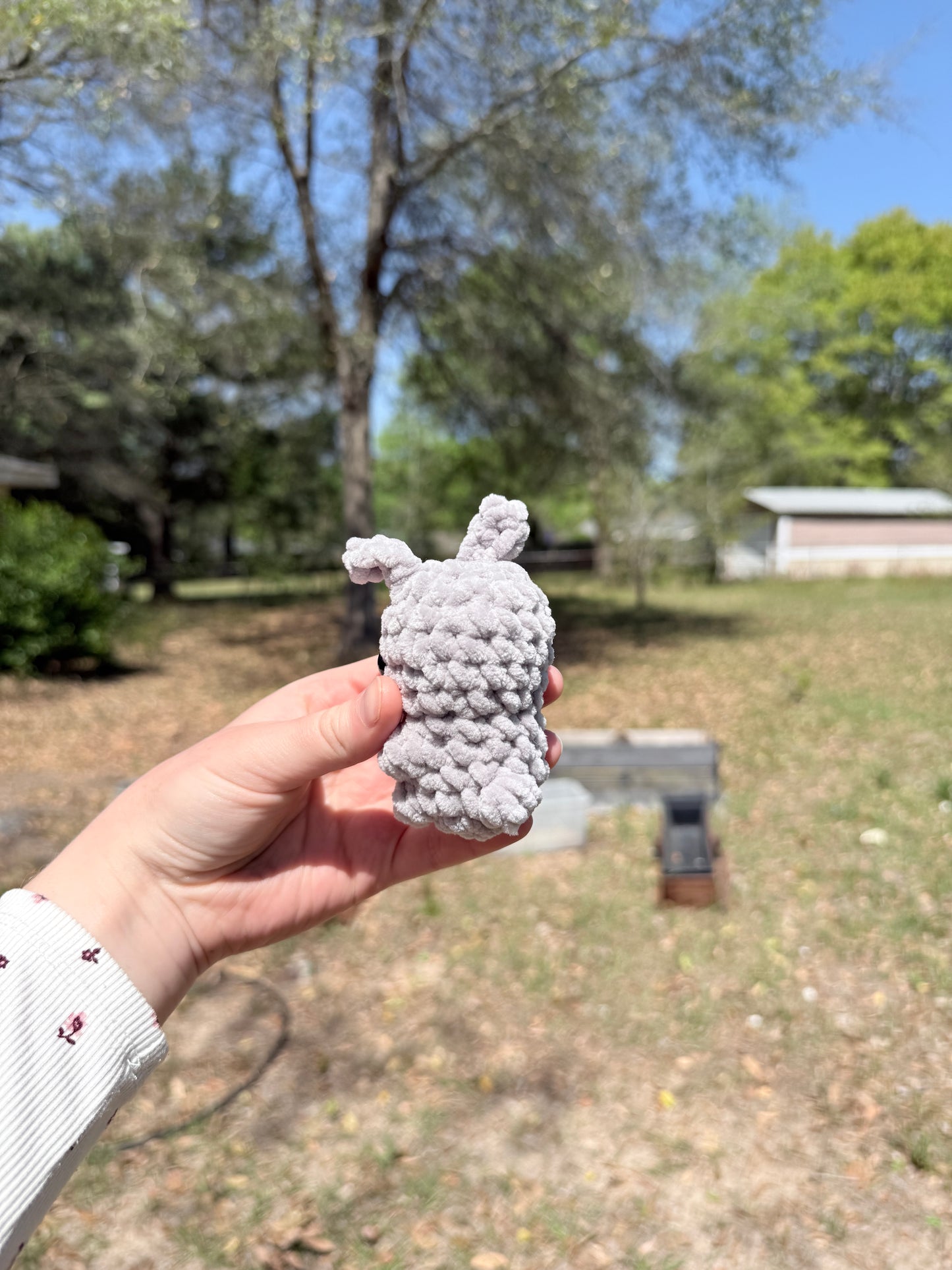 Mini Bunny