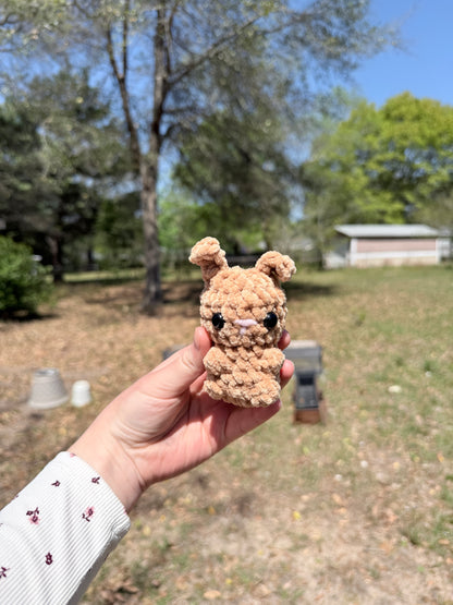 Mini Bunny