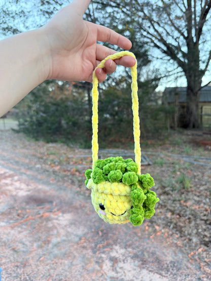 Hanging Plant