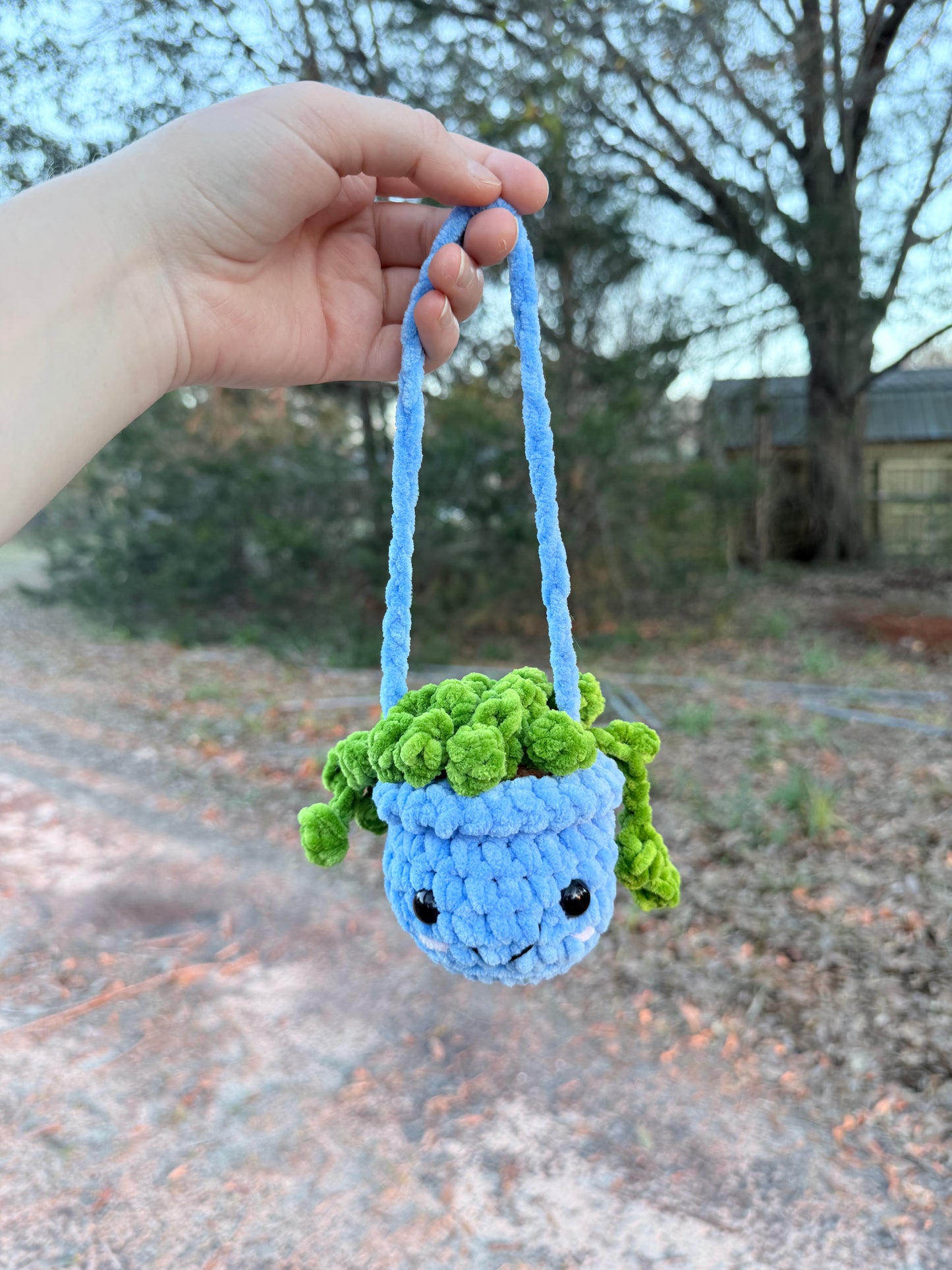 Hanging Plant