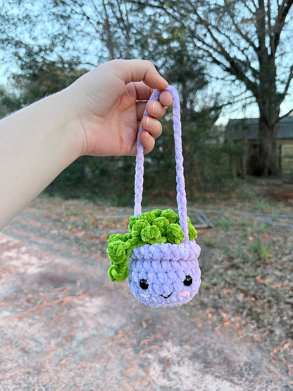 Hanging Plant