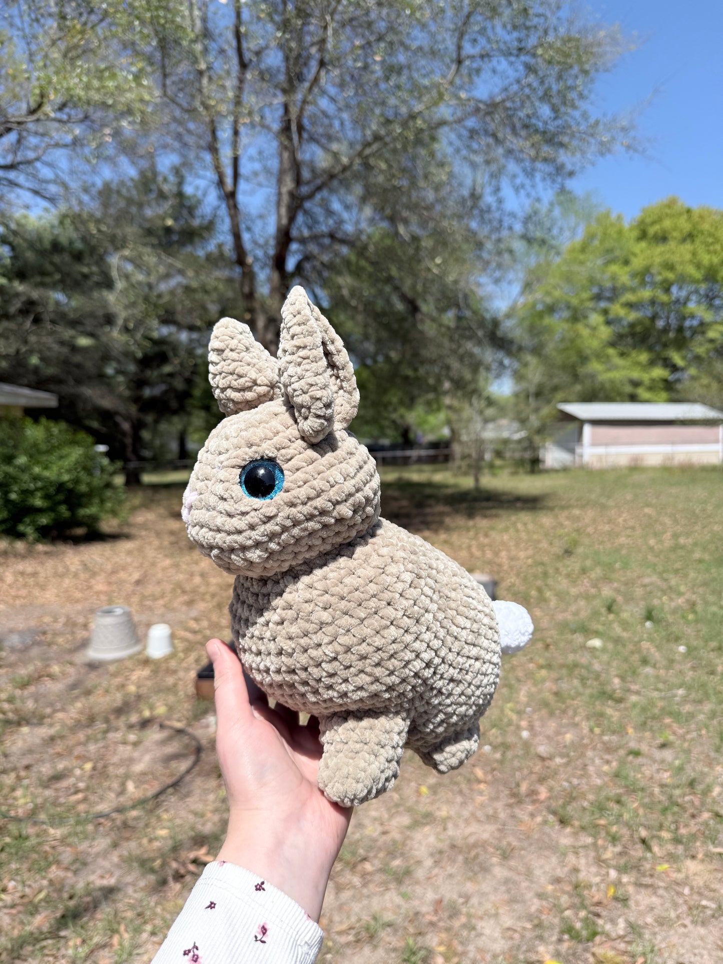 Bunny