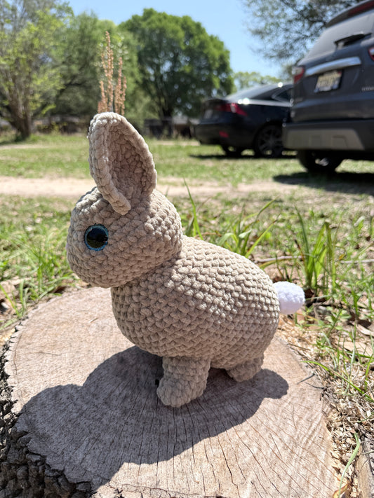 Bunny