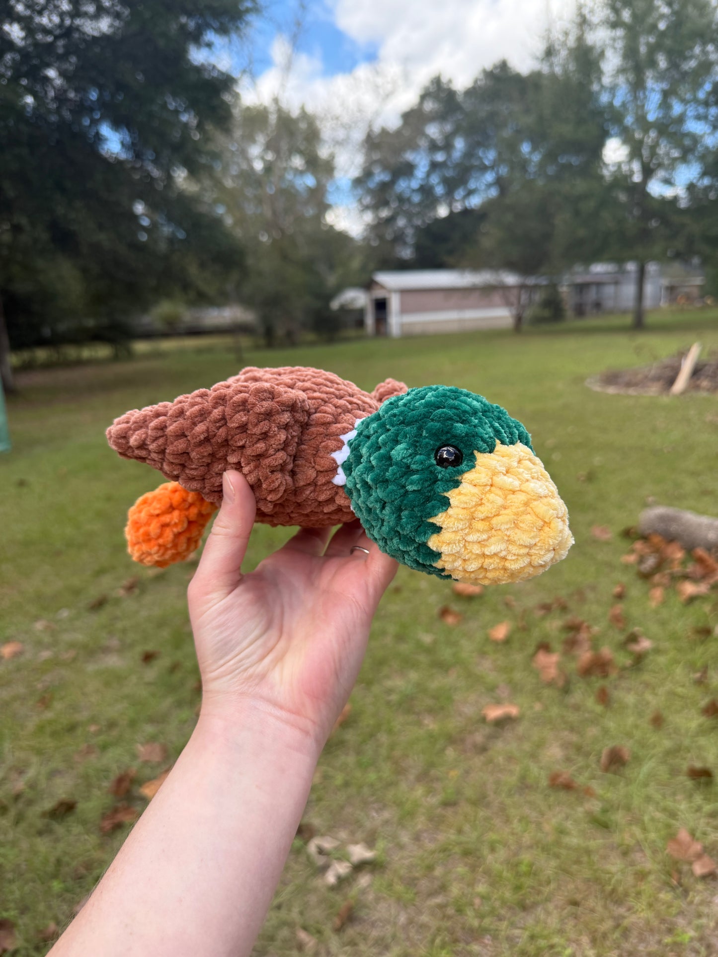 Laying Mallard