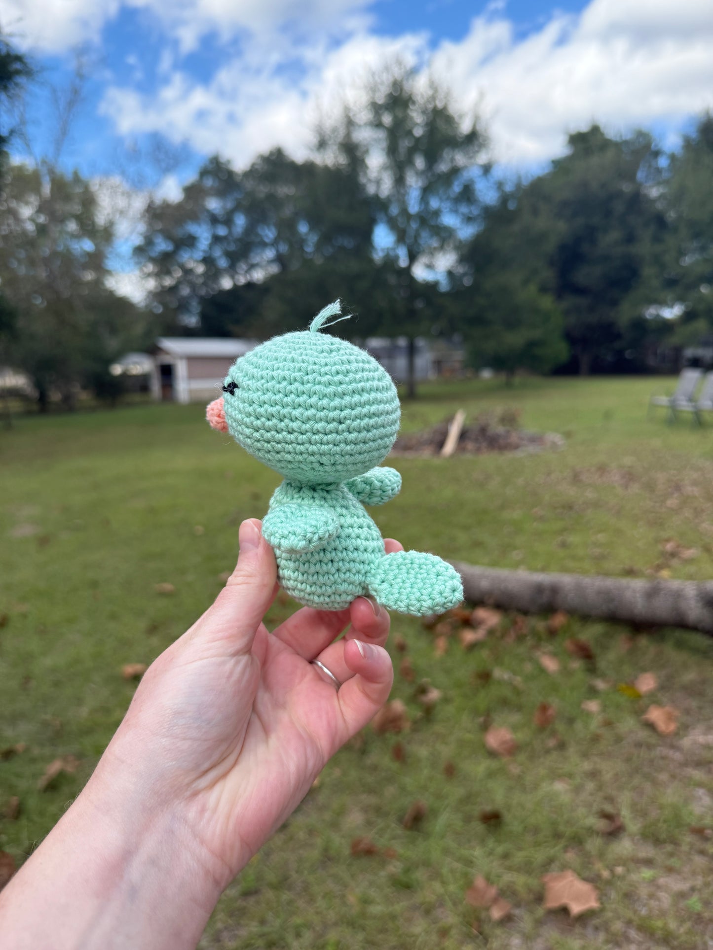 Tiny Bird Friend