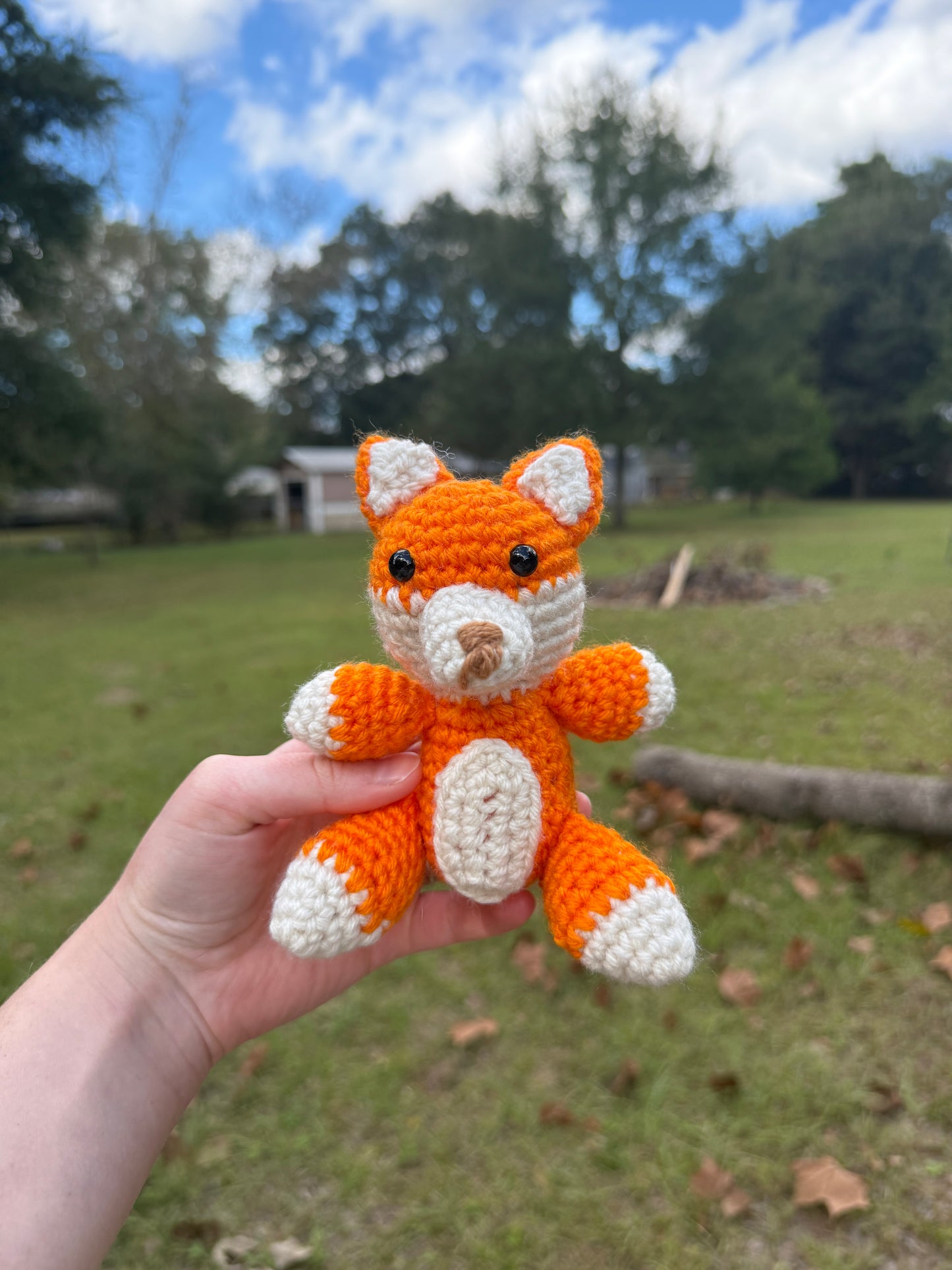 Fox Friend