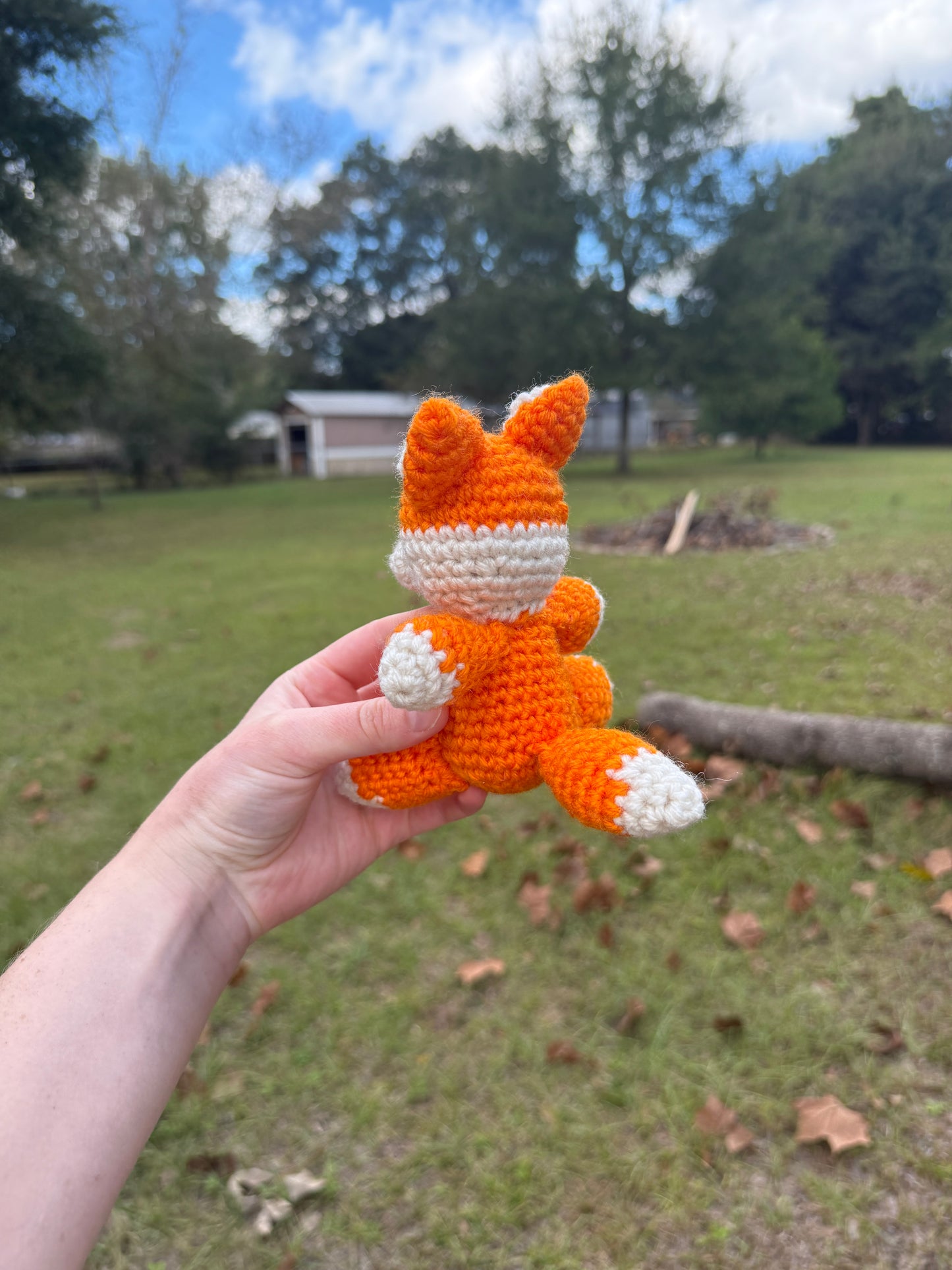 Fox Friend