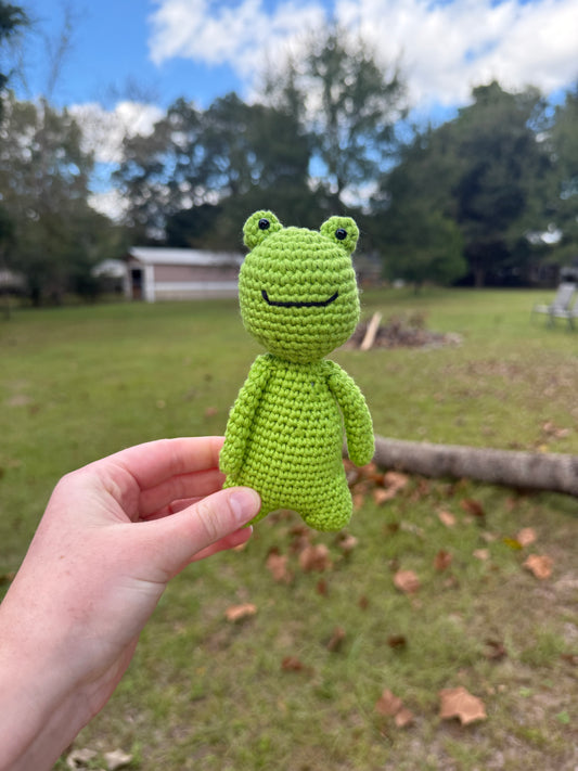 Tiny Frog Friend