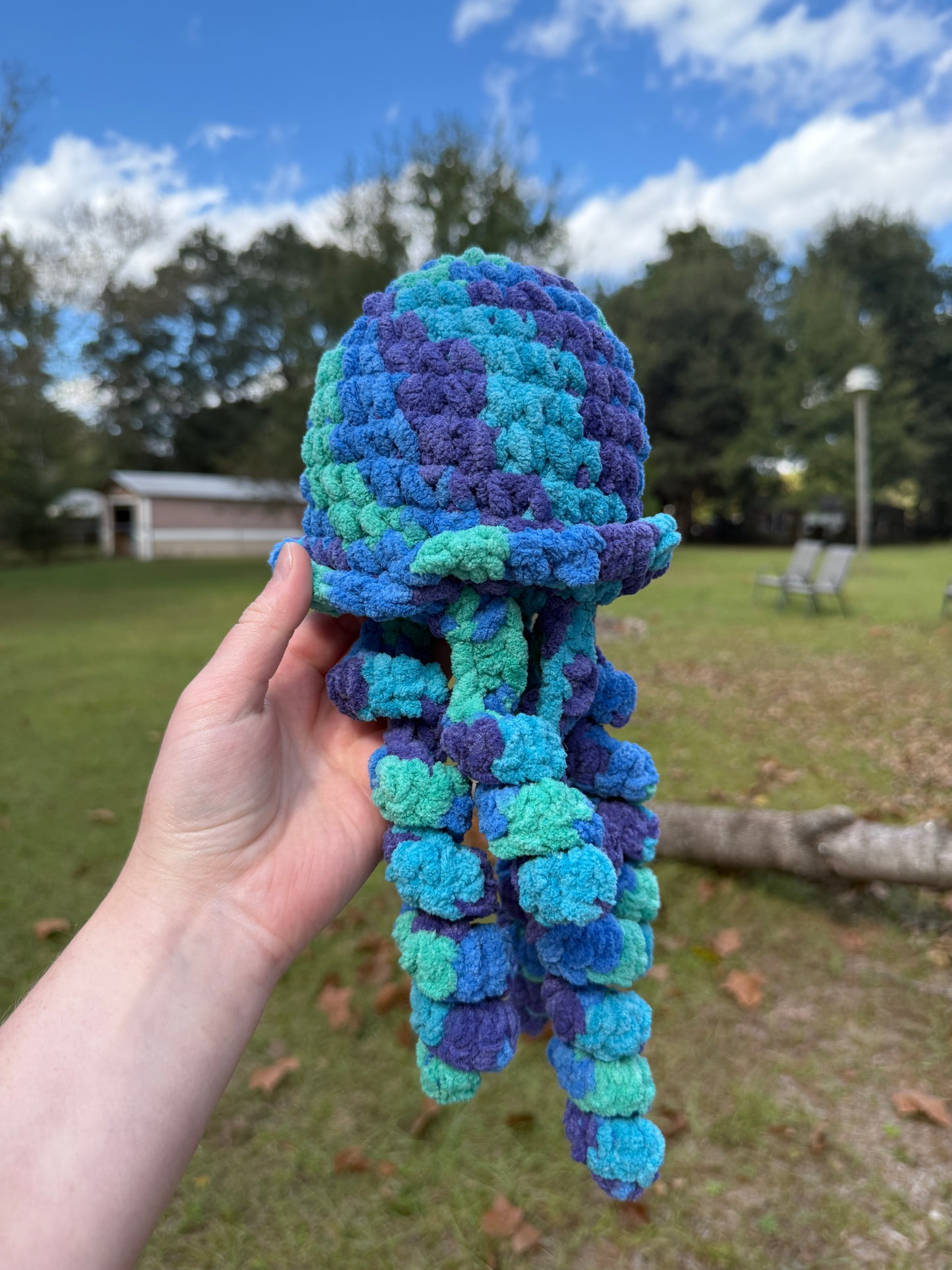 Jellyfish