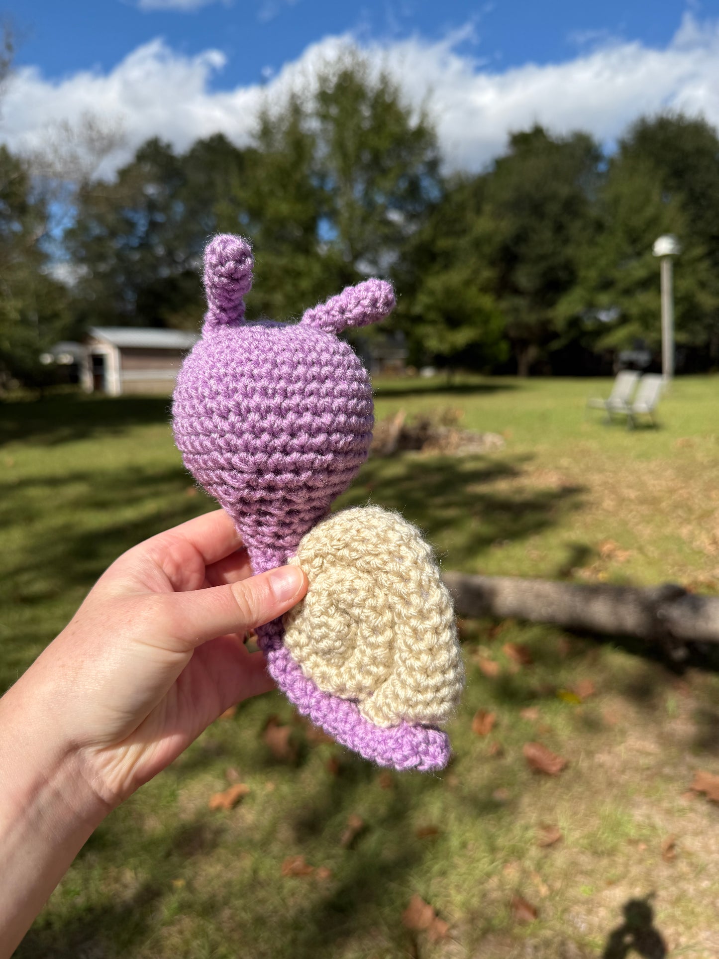 Snail