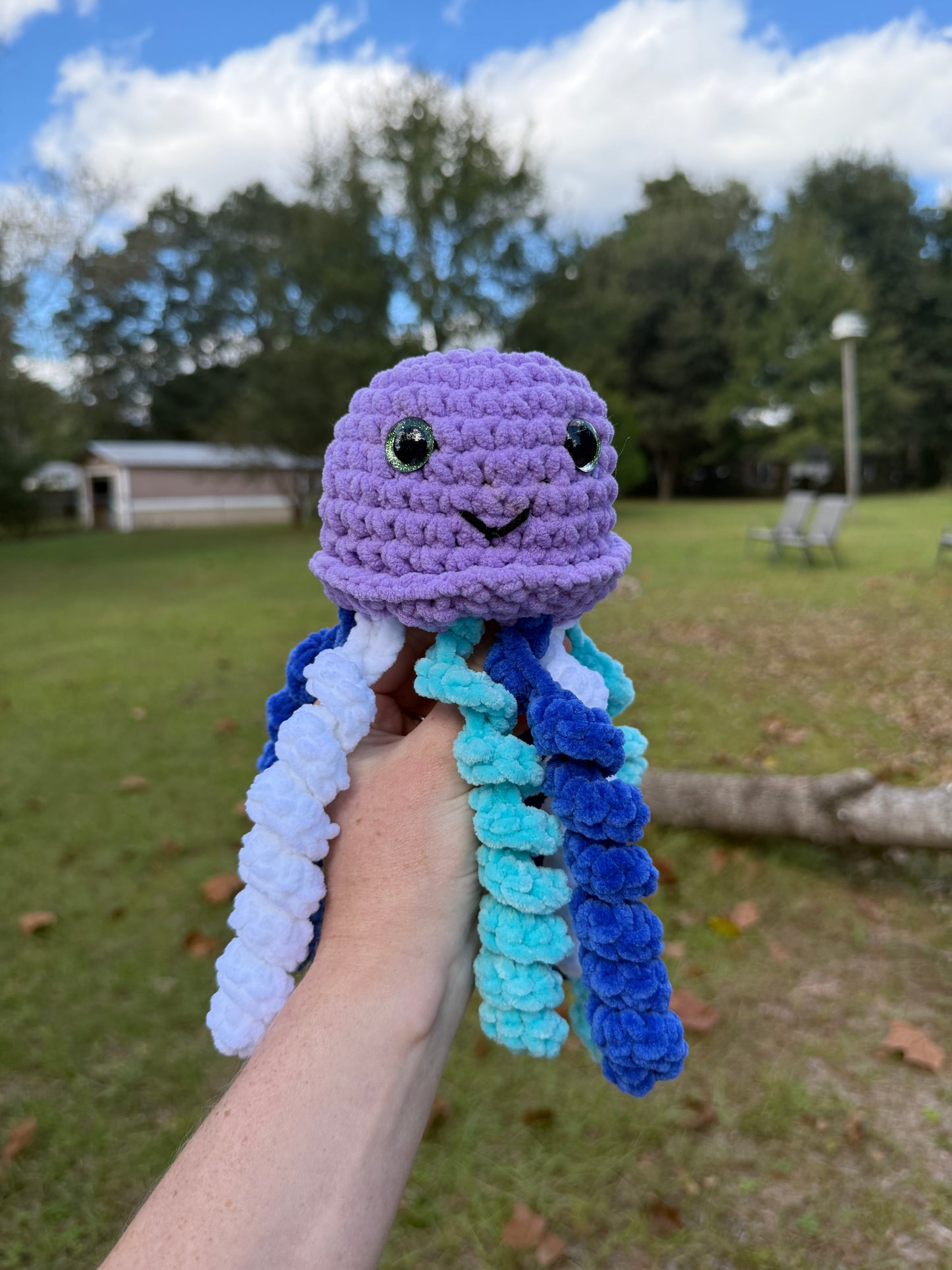 Jellyfish