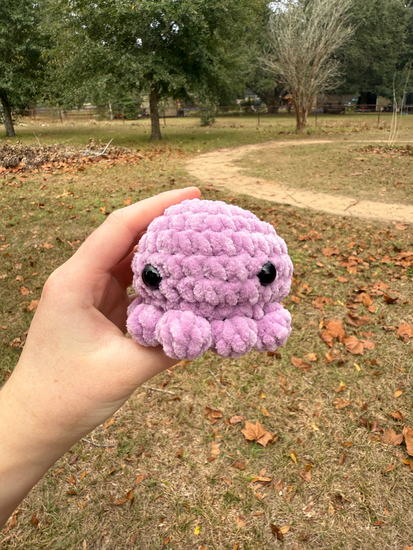 Octo