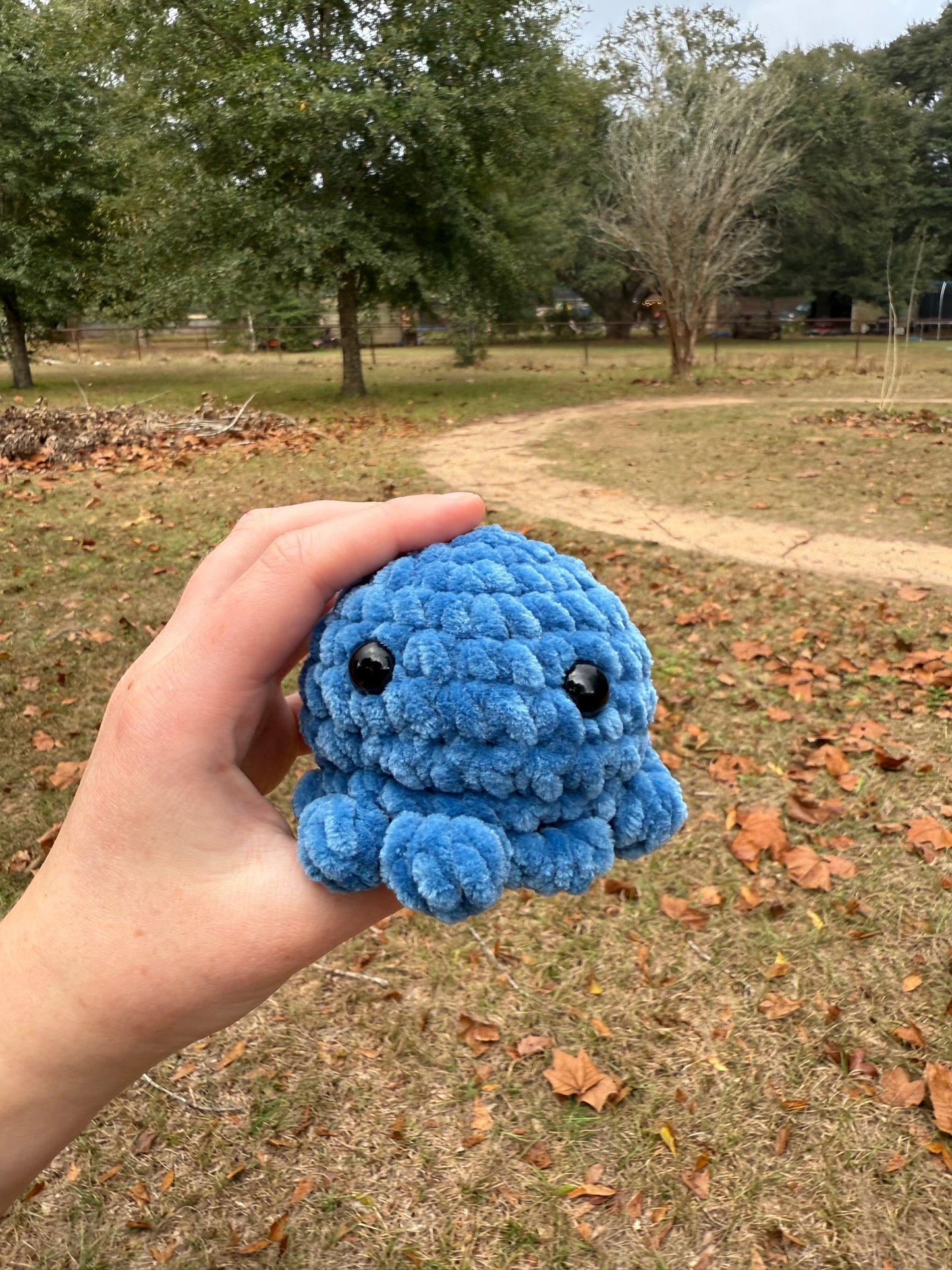 Octo
