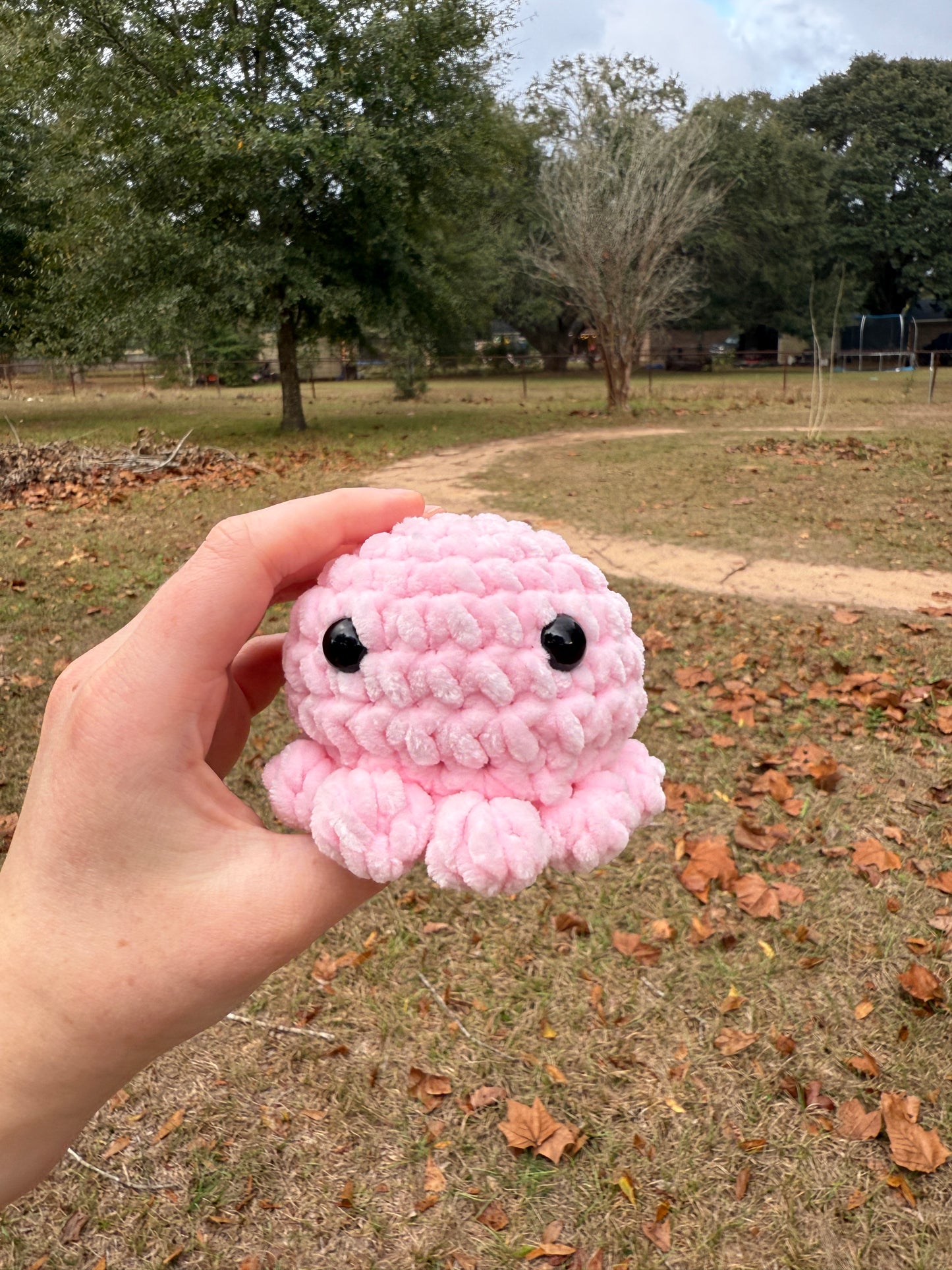 Octo