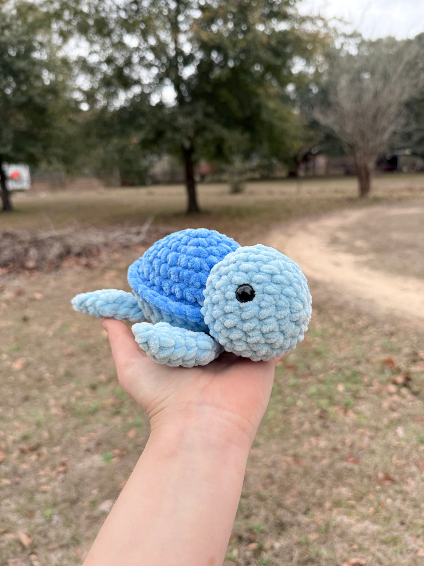Small Turtle