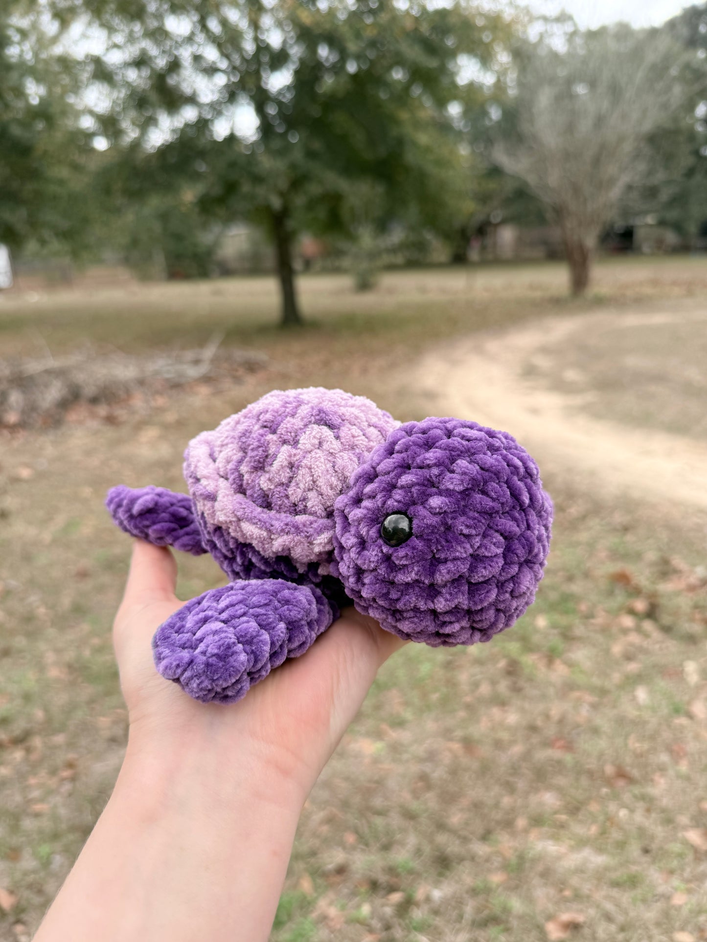 Small Turtle