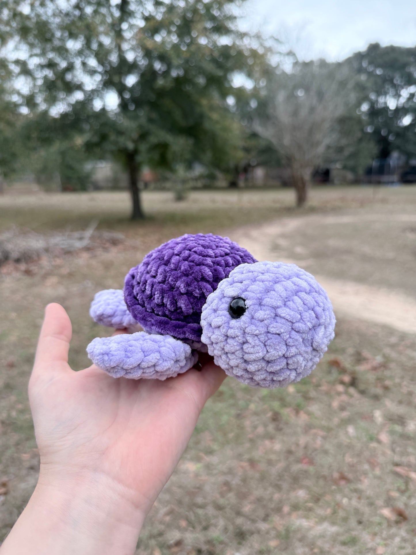 Small Turtle