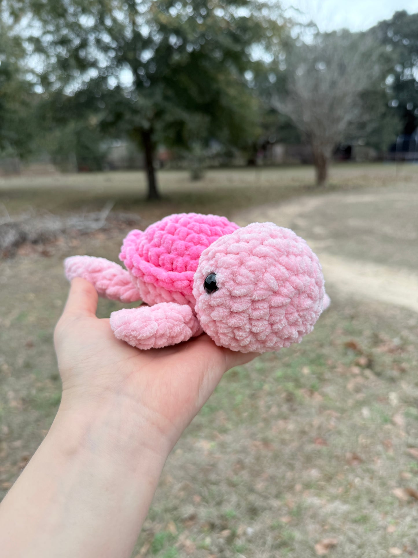 Small Turtle