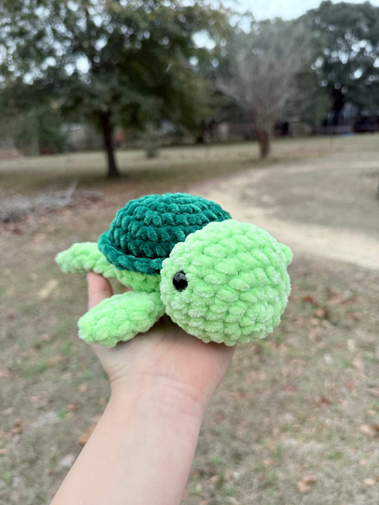 Small Turtle
