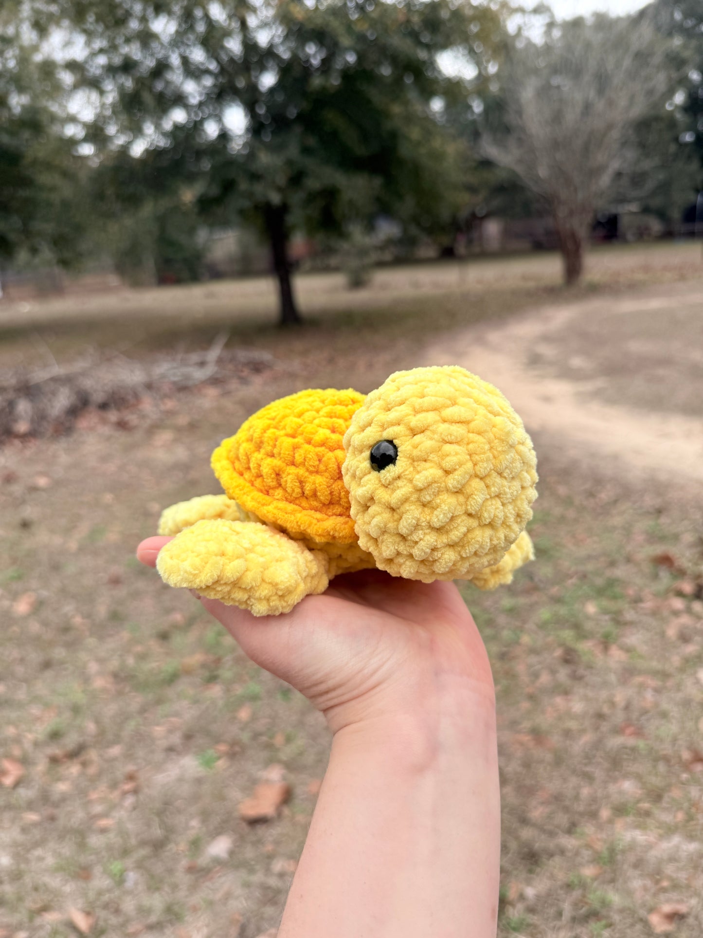 Small Turtle