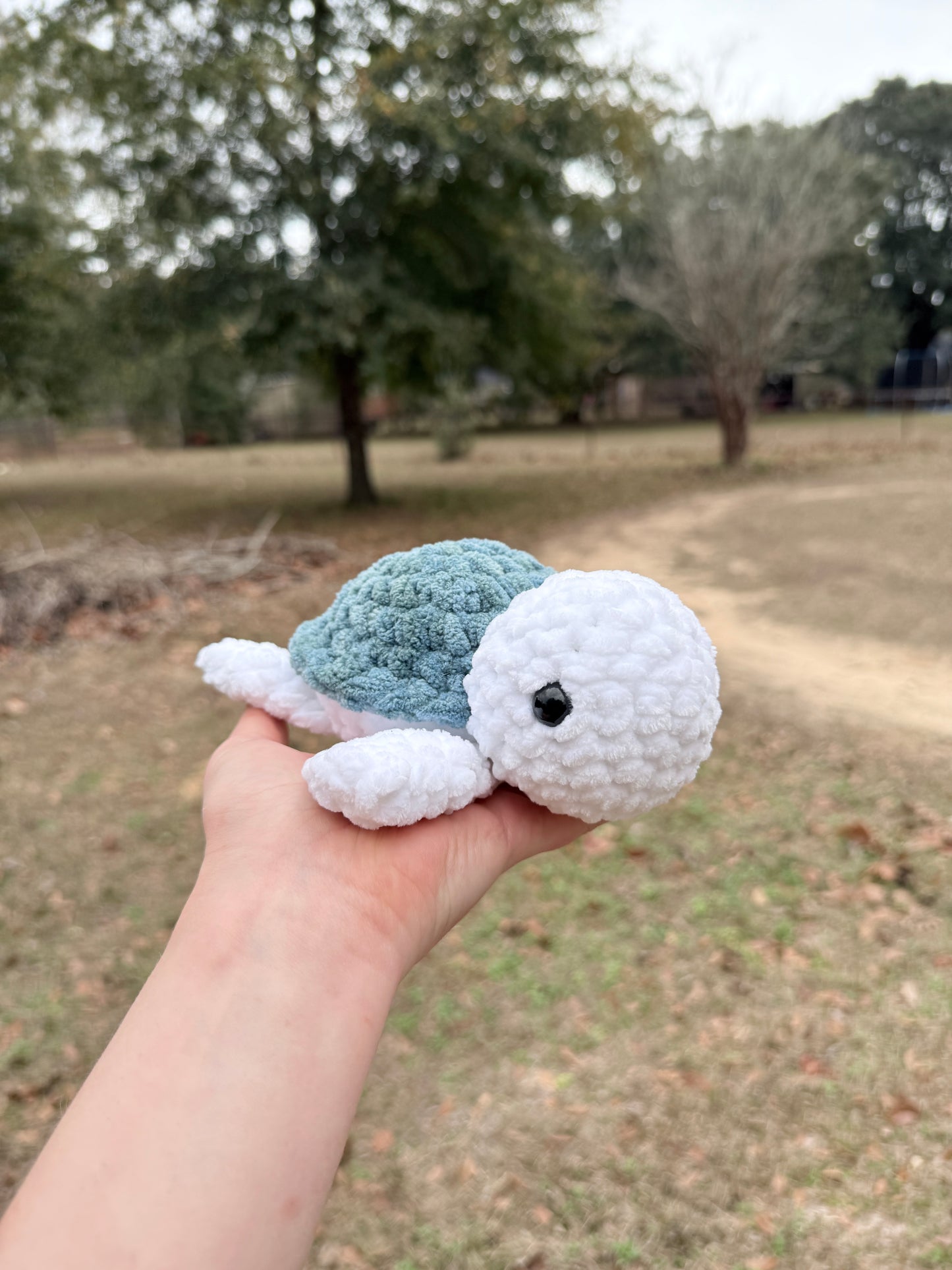 Small Turtle