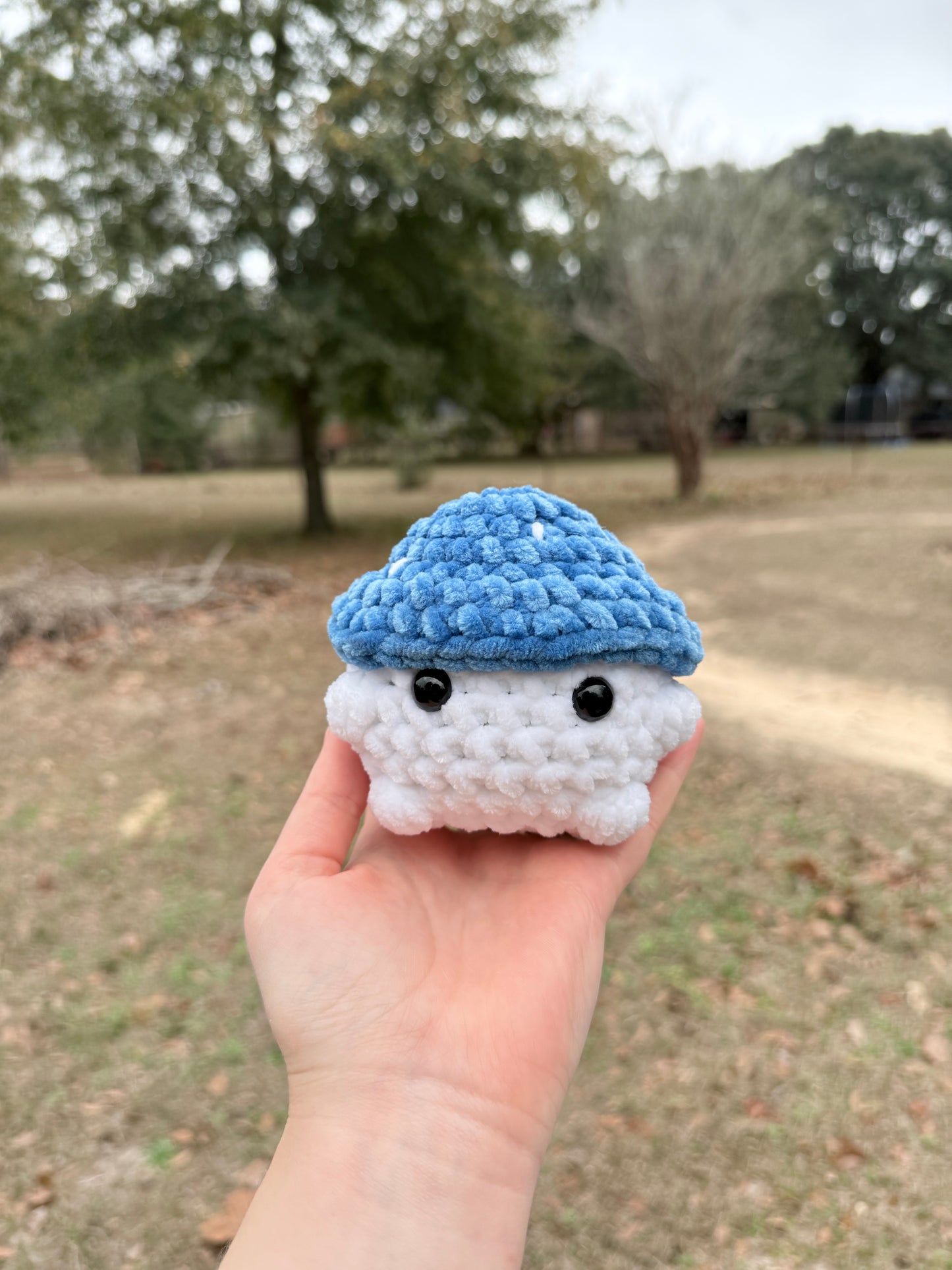Mushroom Boi