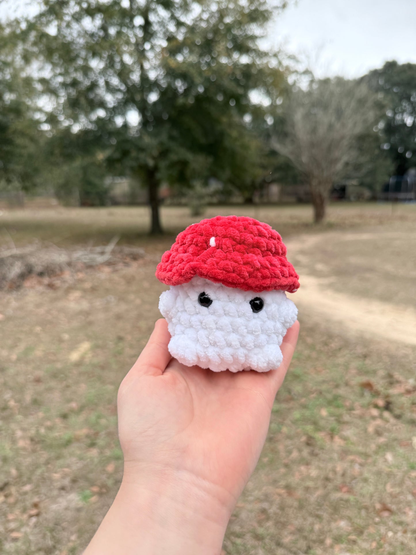Mushroom Boi